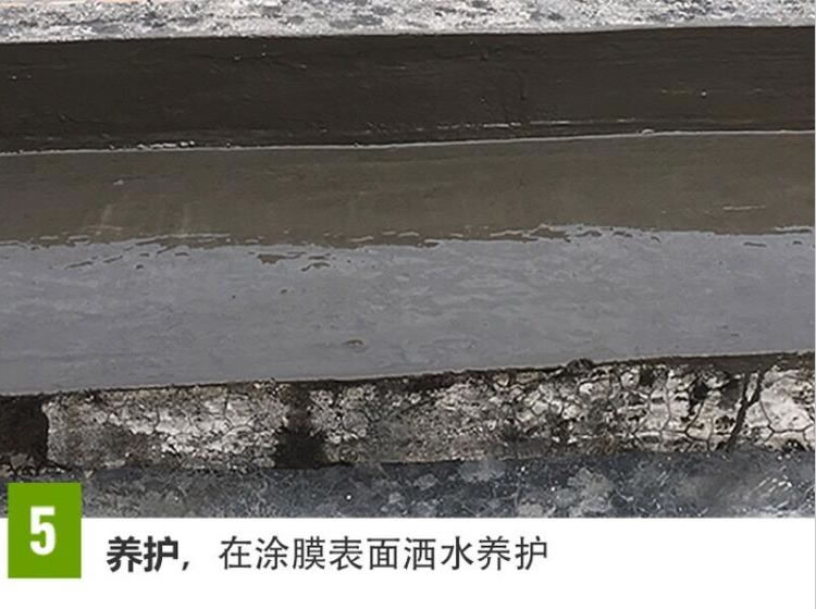 金黑豹王HB聚合物水泥防水涂料(图10)